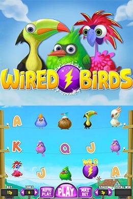 Wired Birds