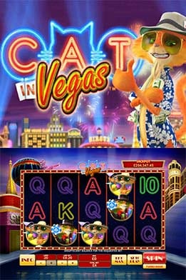 Cat In Vegas