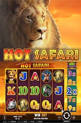 Hot Safari