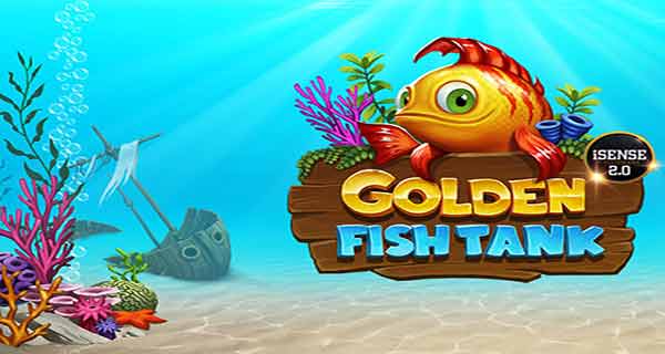 golden fish tank