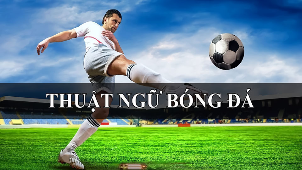 online betting sites