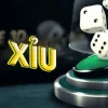 Chiến Lược Cược Tài Xỉu: Hướng Dẫn Thông Minh Cho Người Mới